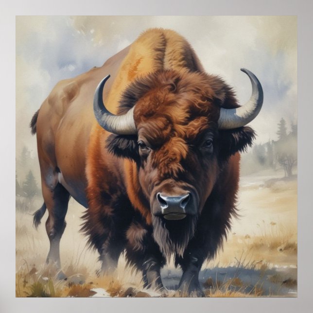 Poster Bison / Buffalo (Frente)