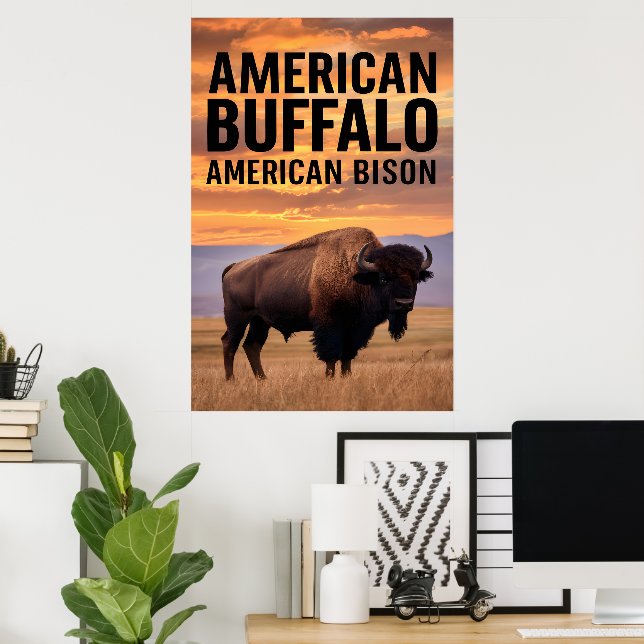 Poster Bison Buffalo Americano (Escritório em casa)