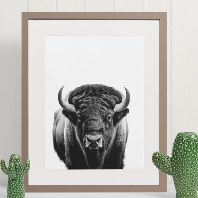 Poster Bison Buffalo Moderno Retrato preto (Criador carregado)