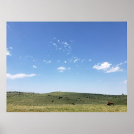 Poster Bison Herd, Custer State Park, Dakota do Sul