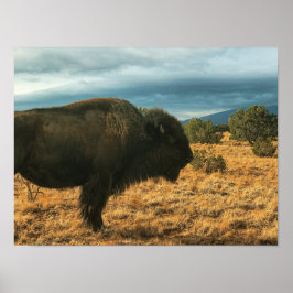 Poster Bison in Foreground Mounains Novo México
