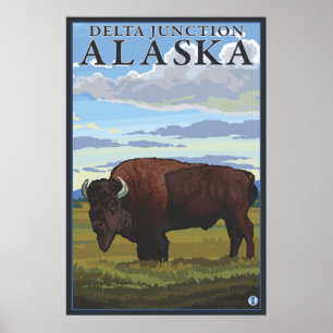 Pôster Bison Scene - Delta Junction, Alaska