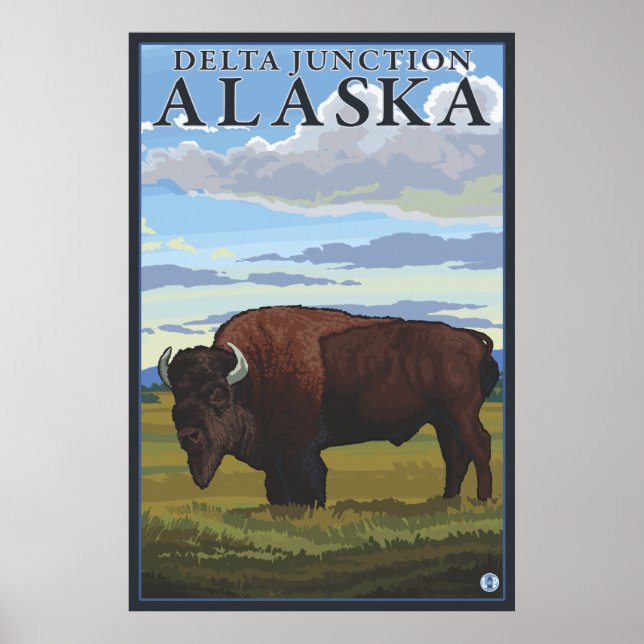 Pôster Bison Scene - Delta Junction, Alaska (Frente)