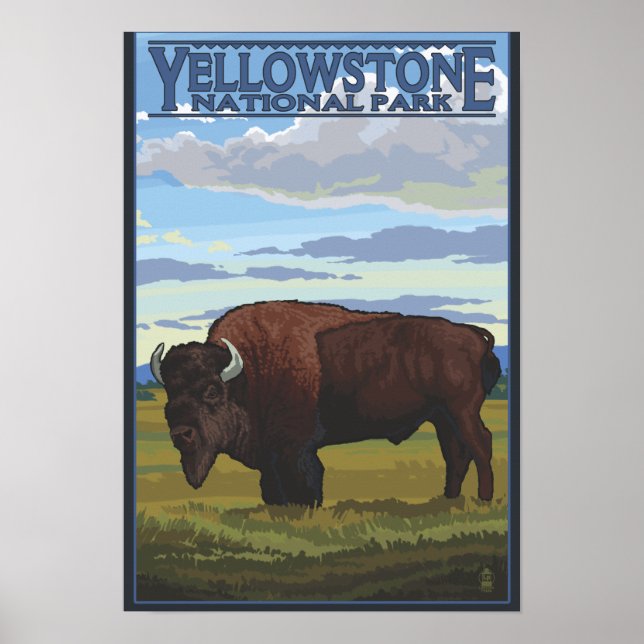 Poster Bison Scene - Parque Nacional de Yellowstone (Frente)