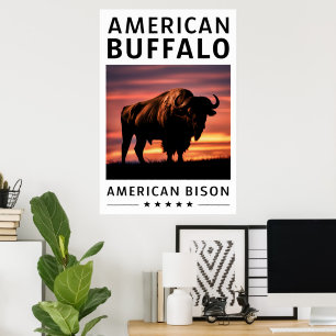 Poster Bison Silhouette ao Sunset