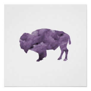 Pôster Bisonte