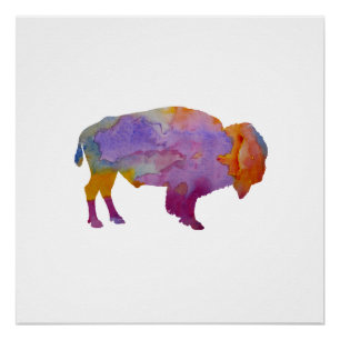 Pôster Bisonte