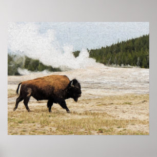 Pôster Bisonte com o fiel velho em Yellowstone