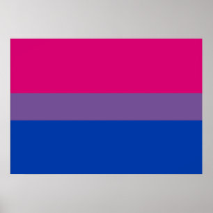 Poster bissexual da bandeira do orgulho