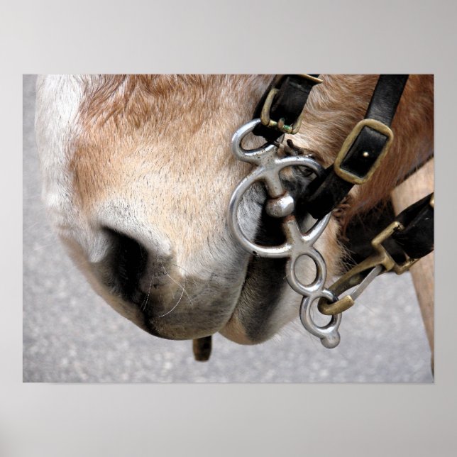 Pôster Bit de condução (Frente)