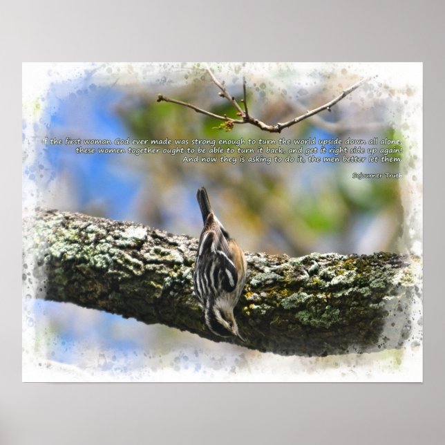 Poster Bitd na árvore Cota Verdade do Solitário (Frente)