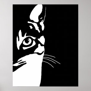 Poster Black and White cat 657