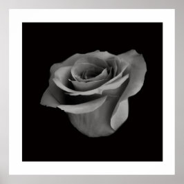 Poster Black and White Flower Photography