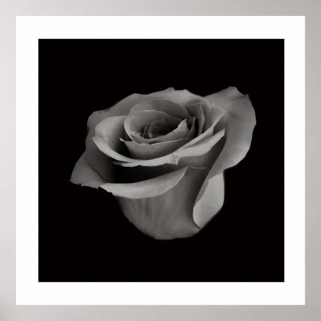 Poster Black and White Flower Photography (Frente)