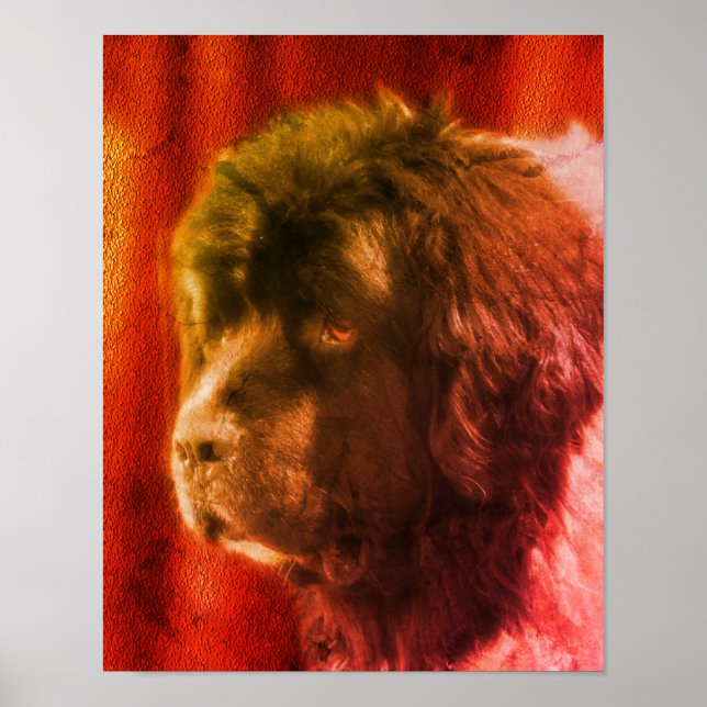 Poster Black and White Newland Dog Face Abstrato (Frente)
