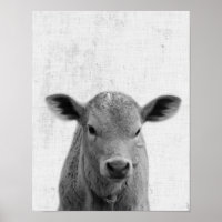 Black and White Peekaboo Cow Minimalist Nursery