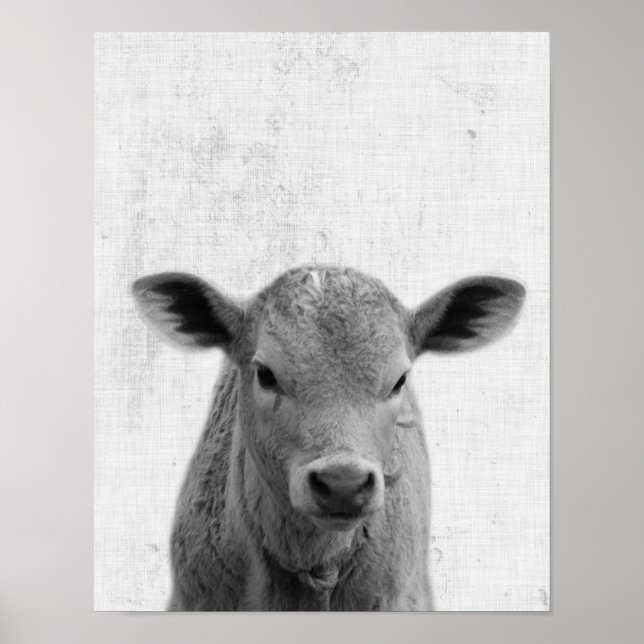 Poster Black and White Peekaboo Cow Minimalist Nursery (Frente)