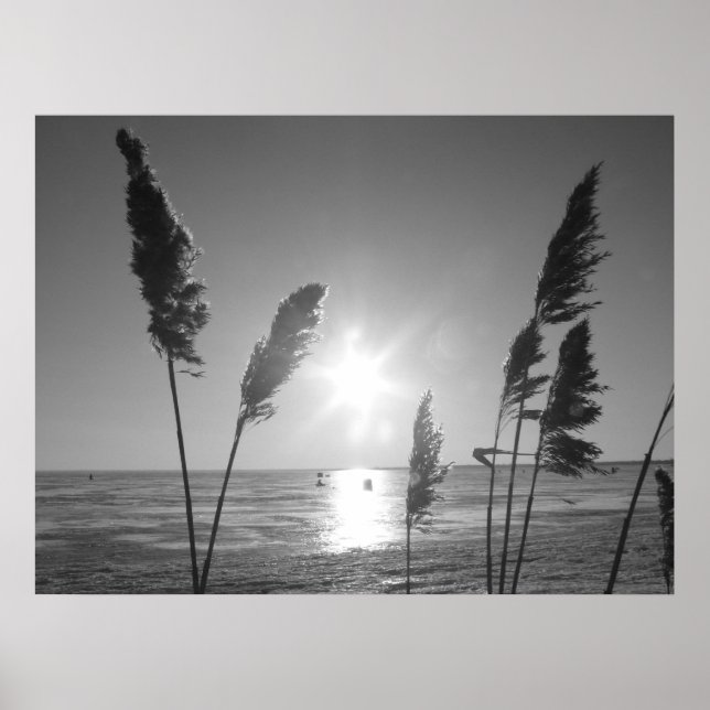 Poster Black and White weeds (Frente)