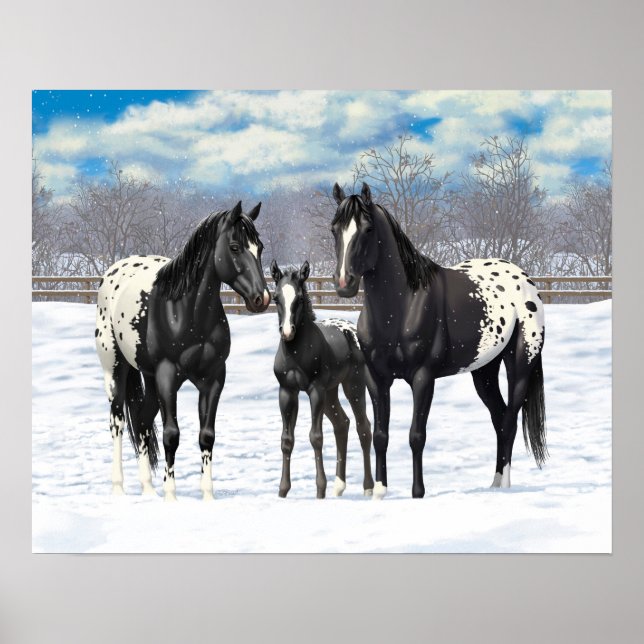 Pôster Black Appaloosa Horses In Snow (Frente)