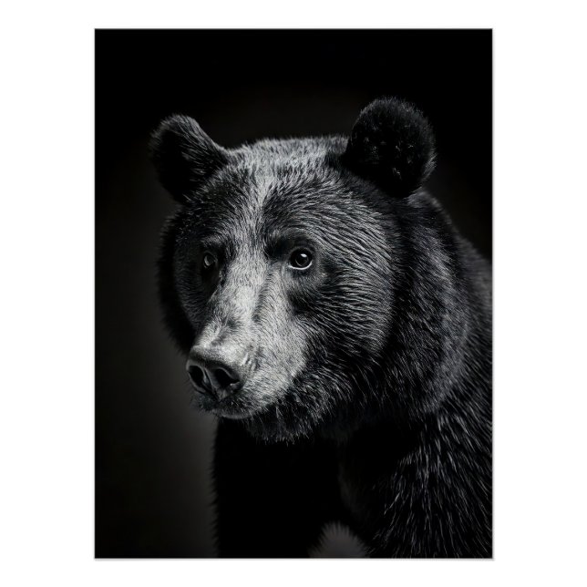 Pôster Black Bear in fine art photography (Frente)