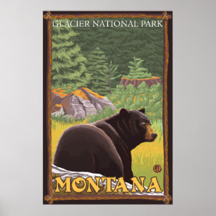 Pôster Black Bear in Forest - Glacier National Park, MT