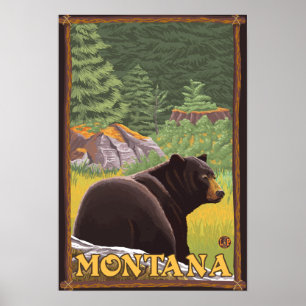 Pôster Black Bear in Forest - Montana