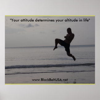 Poster Black Belt USA Poster1