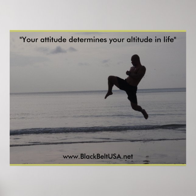 Poster Black Belt USA Poster1 (Frente)