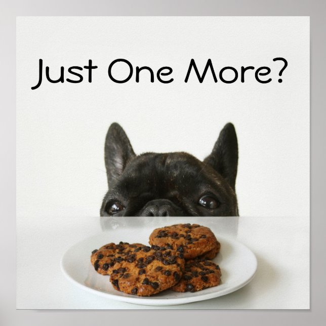 Pôster Black Brindle French Bulldog (Frente)