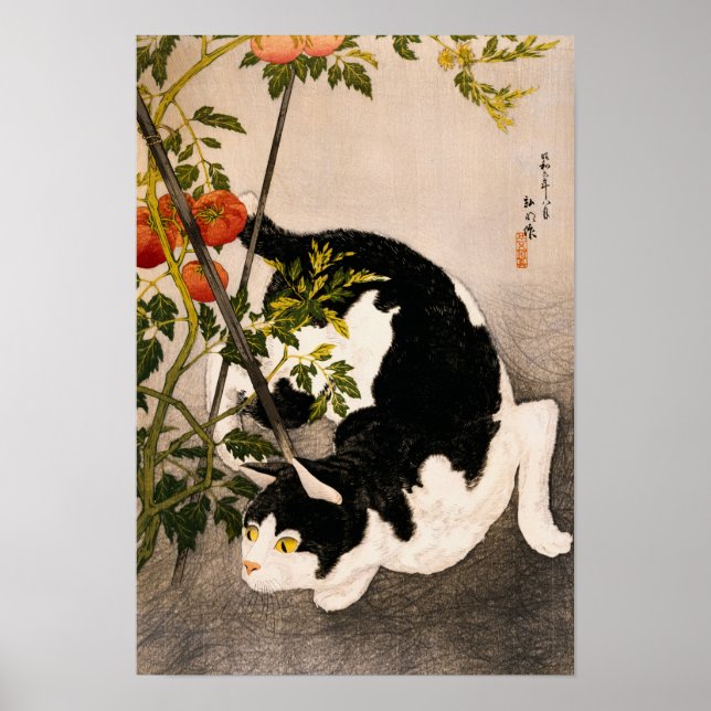 Poster Black Cat and Tomato Plant por Takahashi Hiroaki (Frente)