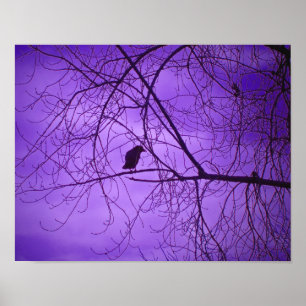 Pôster Black Crown Purple Sky