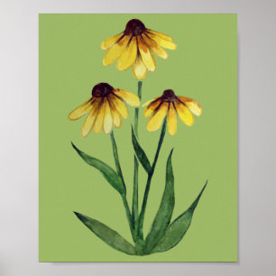 Poster Black Eyed Susan Watercolor Daisy Art Disies