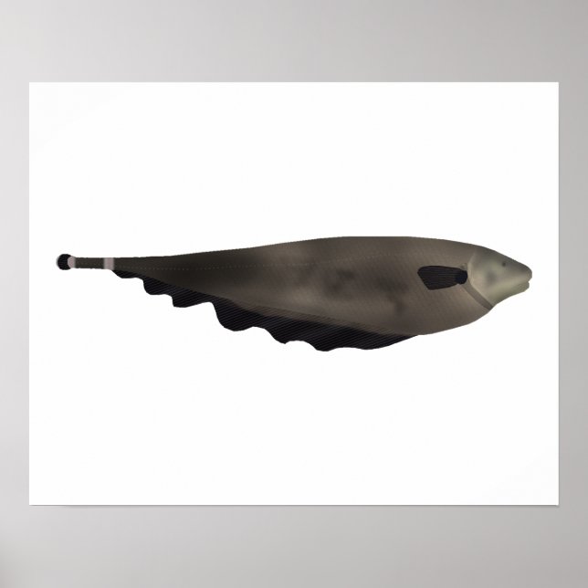 Poster Black Ghost (Frente)