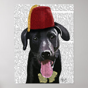 Pôster Black Labrador Com Fez