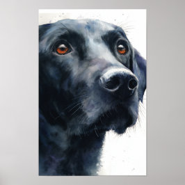 Poster Black labrador retriever watercolor