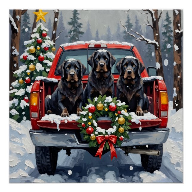 Pôster Black Newfoundland Christmas Red Truck Holiday (Frente)