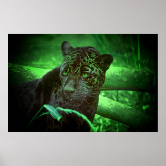 Poster Black Panther Jaguar (Frente)