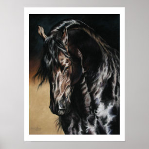 Pôster Black Satin - print