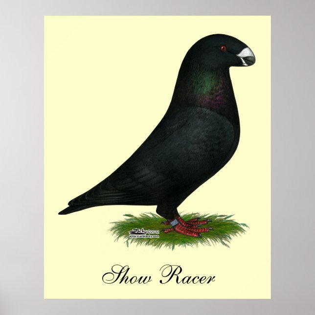 Pôster Black Show Racer (Frente)
