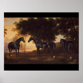 Pôster Black Stallions pinta por George Stubbs