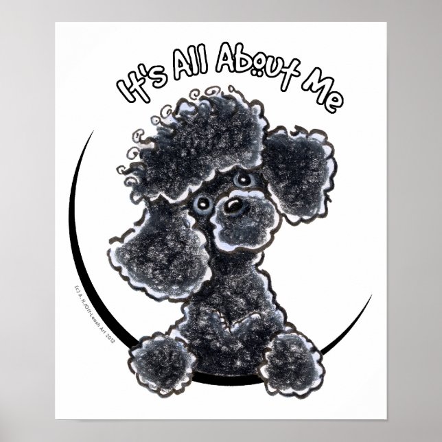 Poster Black Toy Poodle IAAM (Frente)