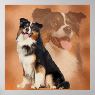 Poster Black tricolor Australian Shepherd - Aussie