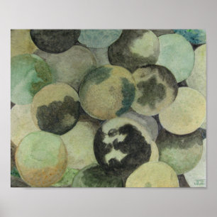 Poster Black Walnuts