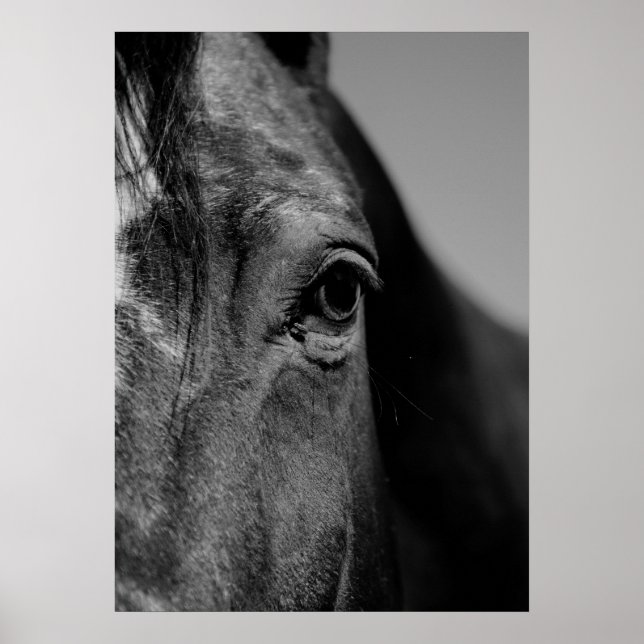 Pôster Black & White Close-up Horse Eye Artwork (Frente)
