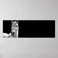 Black & White Horse Artwork