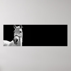 Pôster Black & White Horse Artwork