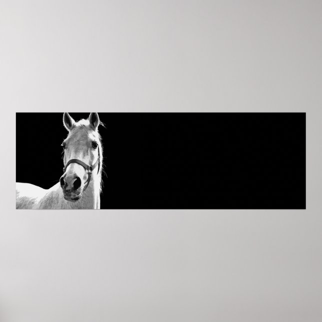 Pôster Black & White Horse Artwork (Frente)