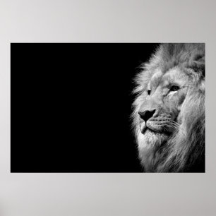 Poster Black White Lion Portrait - Animal Photography