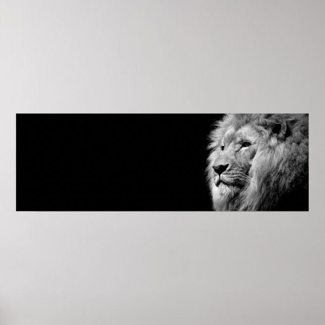 Poster Black White Lion Portrait - Animal Photography (Frente)