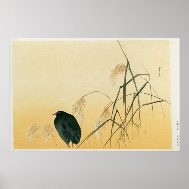 Poster Blackbird, período Edo (Frente)